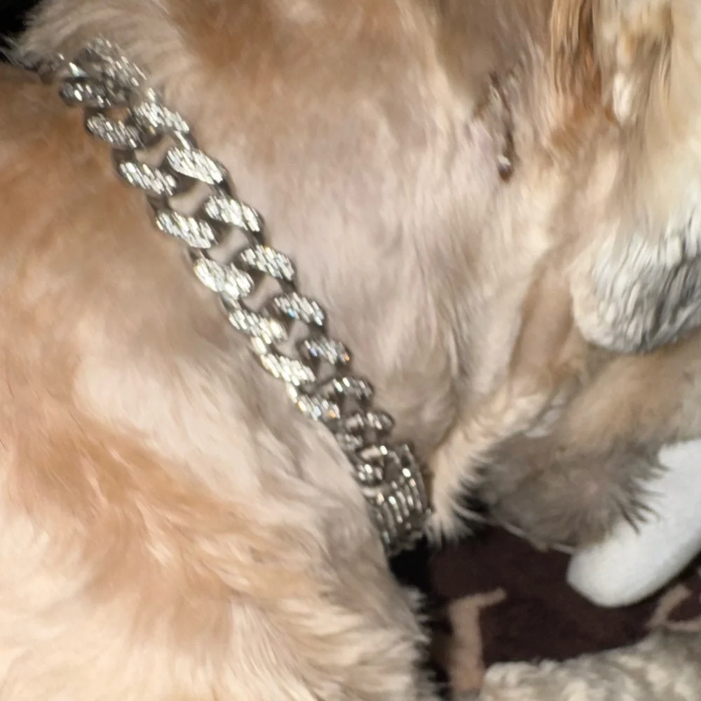 - CUBAN LINK ICED OUT SILVERTONE & ROSE GOLD DOG COLLARS XS 11”
